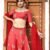 Red feather lehenga set 3 050A5560