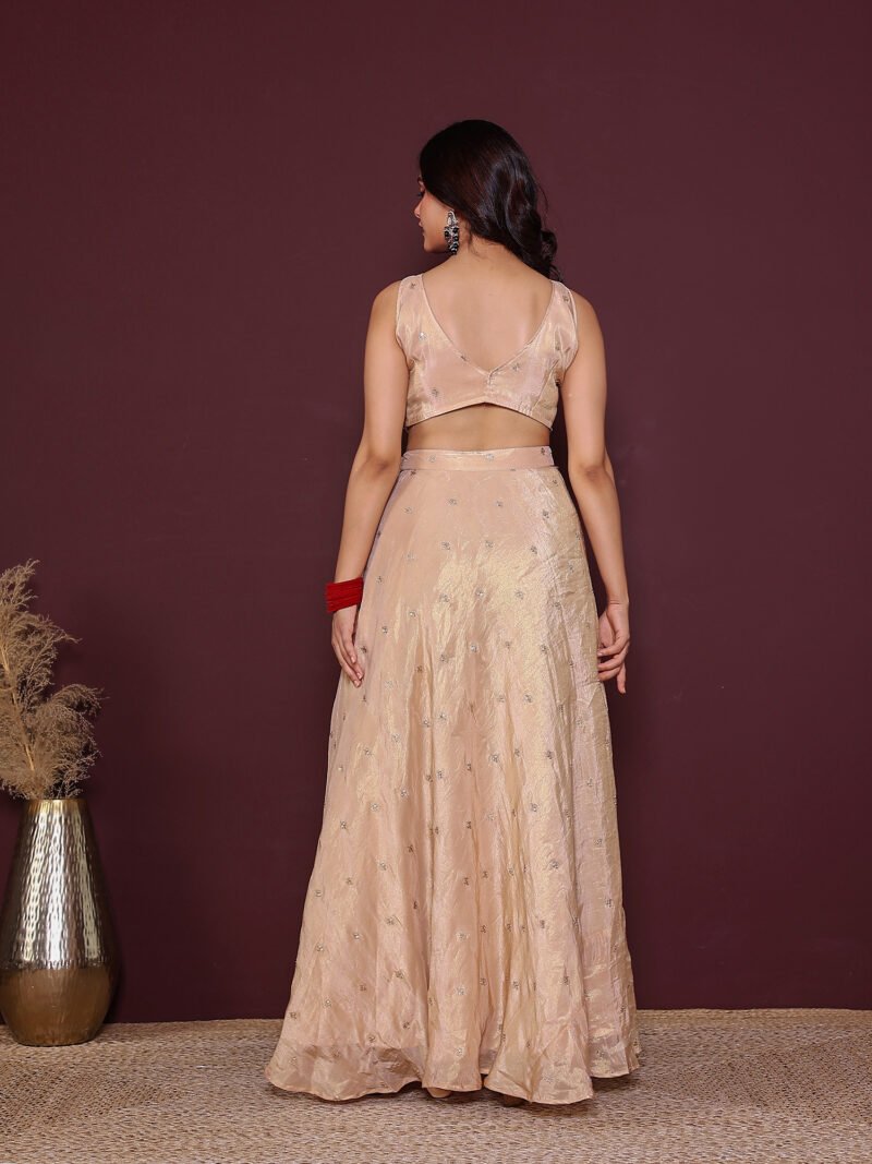 Beige embroidered lehenga set