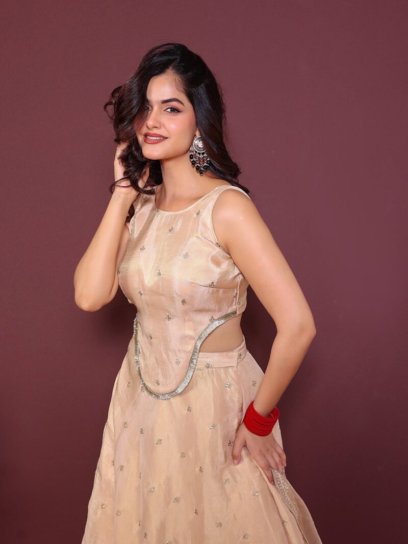 Beige embroidered lehenga set