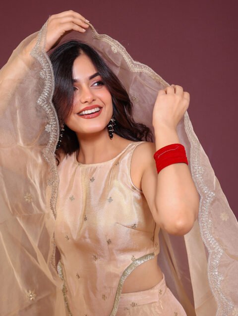 Home 15 Beige embroidered lehenga set