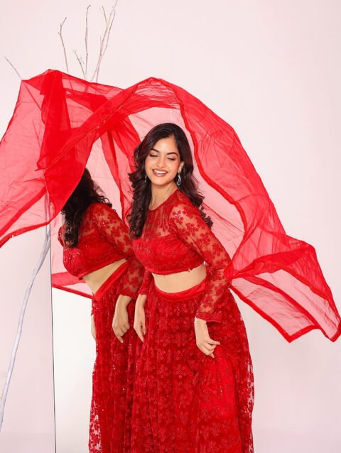 Home 10 Red net lehenga set